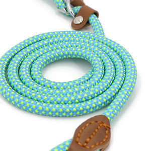 Tali kekang nilon awet dapat diatur, tali traksi hewan peliharaan warna ganda Slip anjing P tali timbal untuk anjing kecil sedang besar latihan luar ruangan - Product Image 4