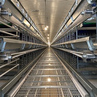 Cage à batterie de type H à 4 niveaux pour poules pondeuses volière pour élevage de volailles Cage à œufs et poulets neuve