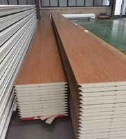 Panneau de porte de Garage en mousse PU, panneau de porte polyvalent, pour fabrication, en plastique, à vendre