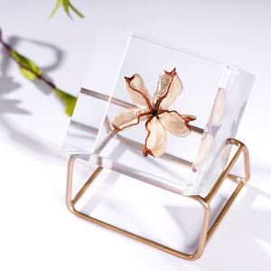 60*60mm Cube Spécimen Clair Acrylique Incorporation Décoration de La Maison <span class=keywords><strong>Creative</strong></span> Nature Presse-papiers Artefact Bloc - Product Image 4