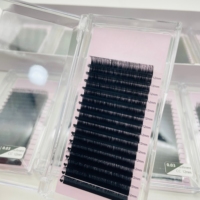 Extensions de cils en gros, éventails de volume doux et moelleux Mega 5mm-25mm, plateaux de cils russes faits à la main, fournitures individuelles