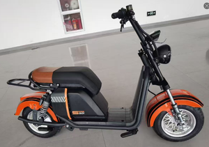 Scooter brasileño de dos ruedas Feiwo Ss701 |   Batería de Litio de 2000w 60v 20ah, Capacidad de 200kg, Largo Alcance, Inteligente, Doble Ss701 2000w - Product Image 6