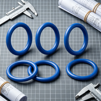 EASILIFE Fabrik OEM Kundenspezifische Farbe Rutschfester Verschleißfester HNBR EPDM NBR FKM Gummi PTFE Beschichteter O-Ring für Hydraulik und Pneumatik