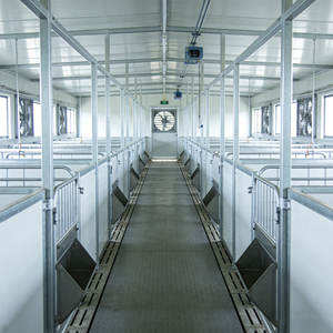 Edificio para Granja Avícola de Diseño Moderno, Gallinero Completamente Automatizado - Product Image 2