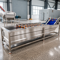 Vind Vergelijkbaar Icoon Gecertificeerd Hete Verkoop Commerciële Bubbel Groente Reinigingsmachine/Wastank Fruit/Fruit Wassen