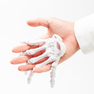 Thiết kế phổ biến <span class=keywords><strong>3D</strong></span> in xương sọ Đồ chơi thú vị dịch vụ tạo mẫu nhanh cho sinh viên - Product Image 4