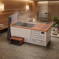 Sistem Bak Mandi Es Dingin Komersial OEM Vapasauna dari Baja Anti Karat dengan Tangga Kayu untuk Proyek Pemulihan Spa Wellness Hotel