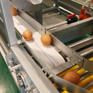 Nuevas jaulas de huevos de acero en forma de H para granjas avícolas, jaulas de batería para animales, jaulas para pollos - Product Image 3