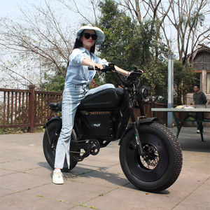 City Bike 1000W Brushless <b>Hub</b> Motor 48V 15Ah Lithium Battery All-Terrain Recreational Long Range Electronic SK-2 - Product Image 3