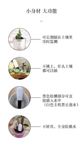 Máy Đo Độ Ẩm Đất Điện Tử, Máy Đo Độ Ẩm Điện Tử Mini Trong Chậu Giúp Trồng Trọt - Product Image 5