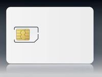 Carte SIM M2M IoT Global Roaming 4G Données illimitées 30 Mo par mois pour Traceur GPS de Voiture Commande en Gros Abonnement Annuel IoT SIM