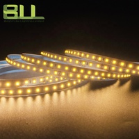 Ruang SMD 2835 120 Leds 2700K 24VSmart Strip lampu IP20 hangat putih Led fleksibel lampu Led