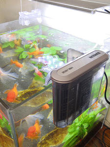 Sensen HBL-303ที่กรองไฟ5W ติดผนังทำจากพลาสติกแบบเงียบติดผนังเป็นมิตรกับสิ่งแวดล้อม5L ใช้กลางแจ้ง - Product Image 4