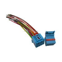 Faisceau de câblage automobile TE Original 12V 24 broches à âme en cuivre, longueur 300 mm, PVC/PTFE, conforme ISO9001 IATF16949 pour modèle