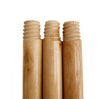 Articles ménagers 120cm vadrouille manche de pelle en bois avec balai fileté verni balai bâton pelle à poussière ensemble