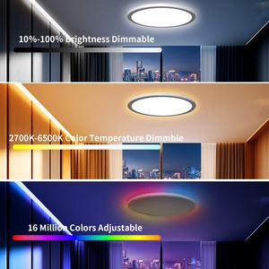 Lámpara de Techo LED RGBIC Inteligente Ultrafina Ajustable con Control por Voz Alexa/Control Remoto/Aplicación para Interiores, para Dormitorio, Sala de Estar - Product Image 2