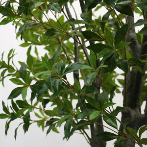 Plantes artificielles en latex de type Andromède japonaise (<span class=keywords><strong>Pieris</strong></span> <span class=keywords><strong>japonica</strong></span>) à toucher réaliste, feuillage vert pour intérieur et extérieur - Product Image 5