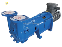 Pompe à vide à anneau liquide TSD 2BEC en fonte, petite capacité, pour la vente en Chine