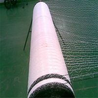 Filet de paillage en HDPE vierge blanc stabilisé anti-UV, robuste, pour balles de foin et ensilage, idéal pour la récolte de fourrage agricole - Vente en gros usine