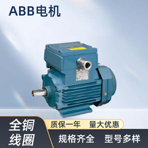 มอเตอร์ไฟฟ้ากระแสสลับ Abb รุ่น M2Ja ซีรีส์ 22 กิโลวัตต์ 30 กิโลวัตต์ แบบสามเฟส อะซิงโครนัส ขดลวดทองแดงเต็มตัว สำหรับอุปกรณ์เครื่องจักรกล - Product Image 4