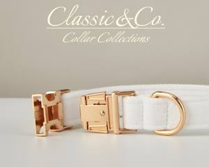 Collar y Correa para Cachorro con Lazo de Terciopelo Personalizado, Diseño Sólido y Hebilla Metálica con Nombre Grabado - Product Image 5