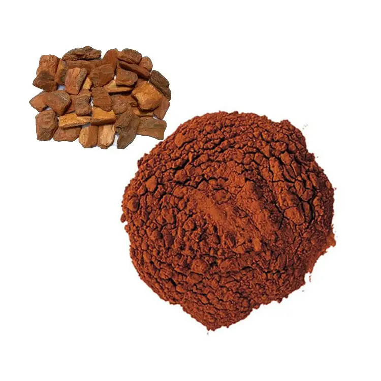 Natural 95% Proanthocyanidins 10:1 20:1 French Maritime 95% OPC Pine Bark Extract Powder