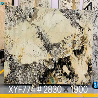 Dalles de marbre du Brésil translucides de luxe, granit Patagonia pour sols, murs ou comptoirs