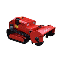 Tondeuse à gazon RC CE Euro 5 Débroussailleuse sur chenilles Machines agricoles Tondeuse à gazon électrique automotrice