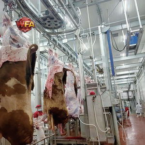 Équipement d'abattage <span class=keywords><strong>de</strong></span> bétail <span class=keywords><strong>halal</strong></span>, machines d'abattoir <span class=keywords><strong>de</strong></span> bovins, machine <span class=keywords><strong>de</strong></span> boucherie <span class=keywords><strong>de</strong></span> bovins, usine <span class=keywords><strong>de</strong></span> transformation <span class=keywords><strong>de</strong></span> viande <span class=keywords><strong>de</strong></span> bœuf certifiée ISO 9001 - Product Image 4