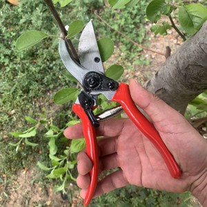 Forbici da <span class=keywords><strong>Potatura</strong></span> Manuali in Acciaio con Manico in Metallo Rosso, Cesoie Resistenti per Frutteti e Giardinaggio - Product Image 1