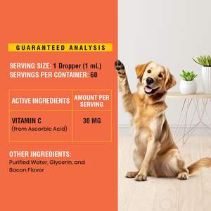 Vitamine <span class=keywords><strong>C</strong></span> liquide OEM/ODM pour chiens - Complément alimentaire pour renforcer le système immunitaire et soutenir les antioxydants - Product Image 3