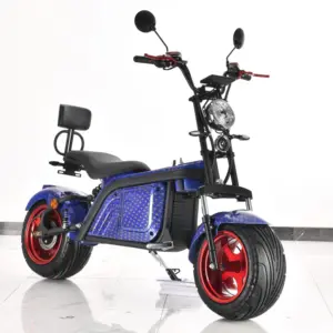 SF CITYCOCO EEC/COC/CE Certificate Model CP-1 Simple Design 1500W 12AH/20AH/40AH Removable Battery Electric Scooters