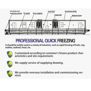 Congélateur tunnel de précision -45°C <span class=keywords><strong>pour</strong></span> ligne de traitement des coquillages (coquilles Saint-Jacques, <span class=keywords><strong>moules</strong></span>, palourdes) - Équipement IQF <span class=keywords><strong>pour</strong></span> congélation profonde - Product Image 2