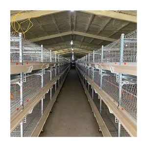 Good Quality Nice Price Chicken Houses Poultry Automatic Farming Equipment Broiler Cages Chicken