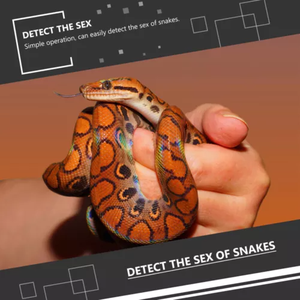 Aksesori reptil baru alat deteksi jenis kelamin ular Set pemeriksa seks jenis kelamin <span class=keywords><strong>Kit</strong></span> <span class=keywords><strong>Probe</strong></span> ular - Product Image 6