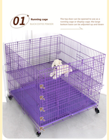 Cage en fil métallique Modèle 26 pour reptiles et oiseaux, cage de course intérieure, construction robuste, plateau en plastique, lit de présentation, fabriqué à Hebei