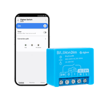 Interrupteur relais intelligent Zigbee pour ampoule