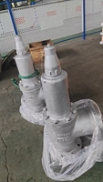 Válvula de Seguridad de Acero Inoxidable 304/316, Válvula de Alivio de Presión Ajustable para Vapor, Aire, Gas y Agua