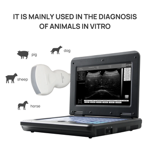Appareil d'échographie vétérinaire HD, scanner B pour animaux avec sonde haute fréquence pour chien, chat, cheval, porc, vache, diagnostic en clinique et en ferme - Product Image 4