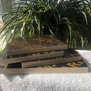 Contreplaqué phénolique moderne haute résistance résistant à l'eau 18 mm pour <span class=keywords><strong>coffrage</strong></span> en béton certifié ISO/CE à faible teneur en humidité - Product Image 6