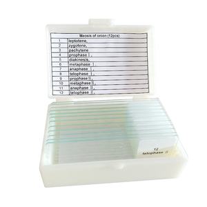 <span class=keywords><strong>Cebolla</strong></span> antera meiosis 12PCs <span class=keywords><strong>microscopio</strong></span> preparado botánica diapositivas - Product Image 1