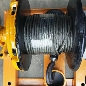Electric Wire Rope Hoist 500kg with Clutch Type for Sale - Product Image 3