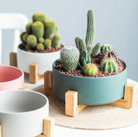Nordique en céramique Pot de fleur bol anti-dérapant support en bois Multi couleurs céramique cadre en bois maison jardin minimaliste en gros