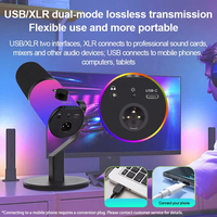 Social Media Influencer Live Stream Studio Mikrofon XLR USB-C Dual Mode Dynamic Mic Ausrüstung für Podcasting Recording Gaming