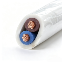 RVVB-2*1.5/2.5 mm Kupferkern-Ummantelkabel für den Einsatz in Automobilbeleuchtung, LED-Streifen und Kleinelektronik