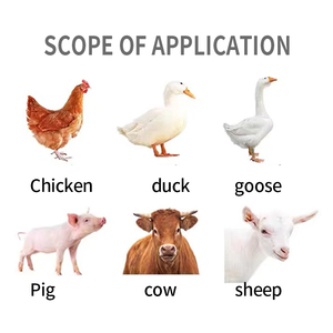 Enzima fitasa <span class=keywords><strong>Habio</strong></span> para la alimentación animal y la mejora de la nutrición - Product Image 5