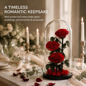 Wholesale Preserved Roses <strong>Bouquet</strong> in Glass Dome, Eternal Rose <strong>Forever</strong> Flower Gift Box for Valentine's Day Factory Custom - Product Image 2
