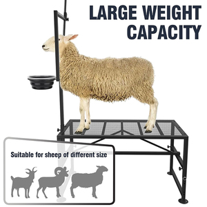Support pour bétail JH-Mech avec bac à nourriture en métal noir avec tête réglable 600 lb Support de traite pour chèvre pour la tonte des moutons - Product Image 3