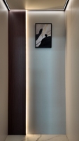 Ascensore Passeggeri AC in Acciaio Colorato Stile Cinese per Ville e Hotel, Design Moderno, Capacità 450kg, Velocità 1.0m/s, Trazione Senza Ingranaggi