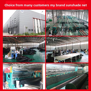 <span class=keywords><strong>Malla</strong></span> de <span class=keywords><strong>Sombra</strong></span> Rectangular de HDPE de Alta Densidad, Negra, con Protección UV, Bordes Reforzados y Ojales, para Exteriores, Patio y Terraza - Product Image 4